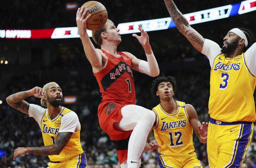 趣是真实存 趣是真实存