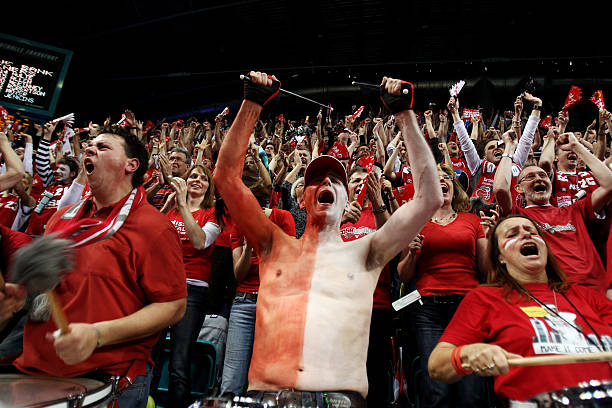 目的亮点即 目的亮点即